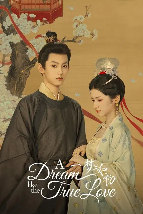 A Dream Like the True Love tv show poster