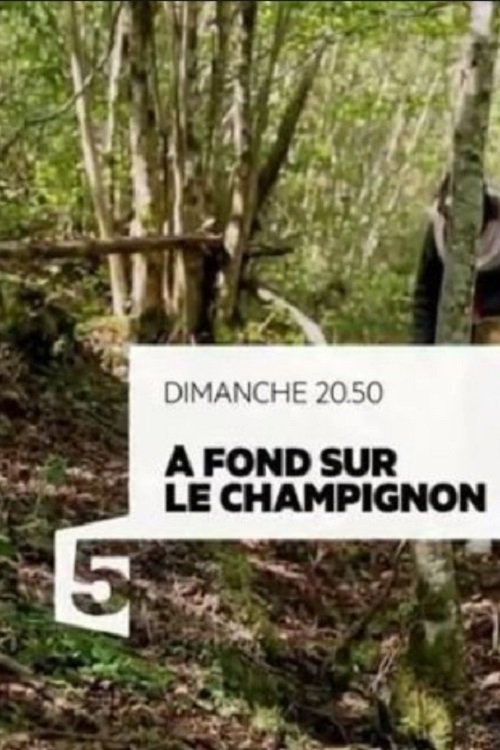 Poster do filme A fond sur le champignon