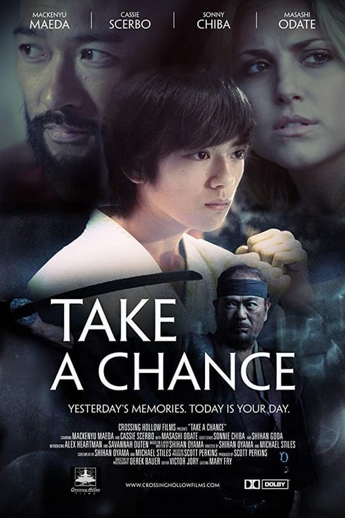 Take a Chance movie poster