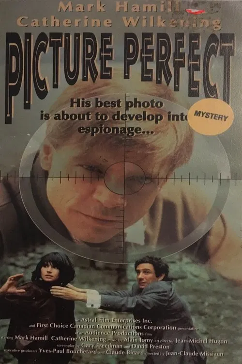 Picture Perfect movie poster