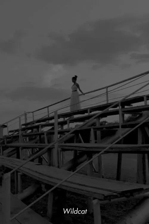 Wildcat movie poster