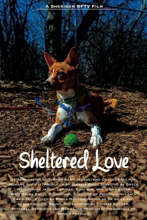 Sheltered Love movie poster