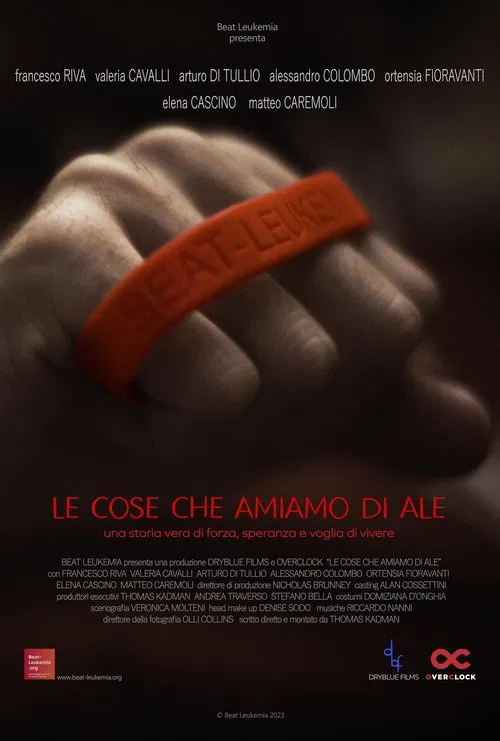 Le cose che amiamo di Ale movie poster