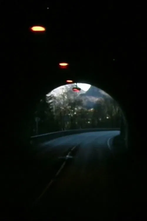 Northern Spring movie poster