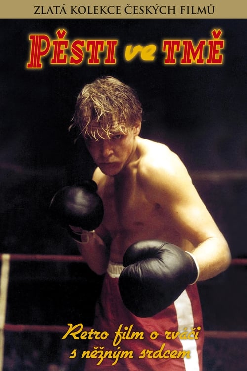 Pěsti ve tmě movie poster
