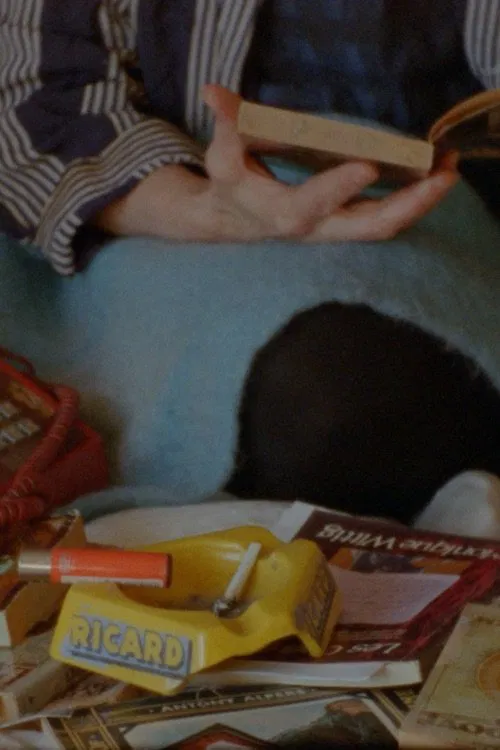 Poster do filme Exterior Turbulence