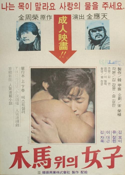 The Woman On The Ferris Wheel movie poster