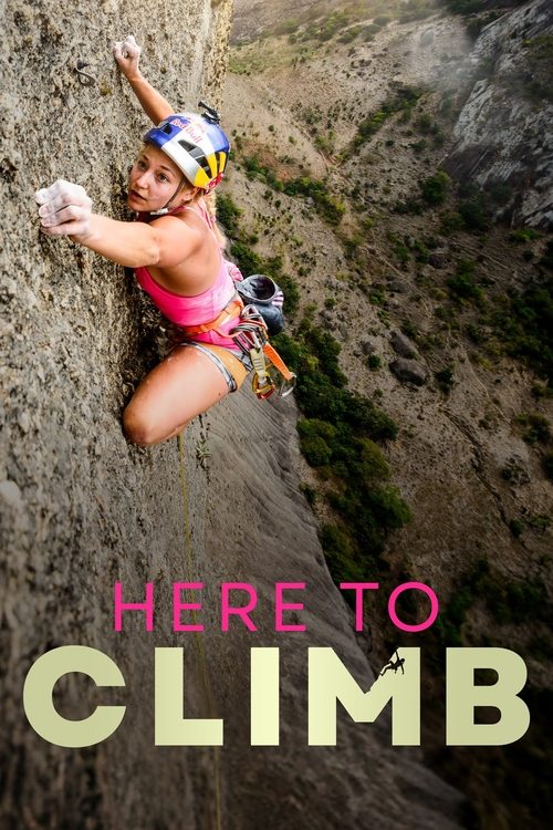 Here to Climb movie poster