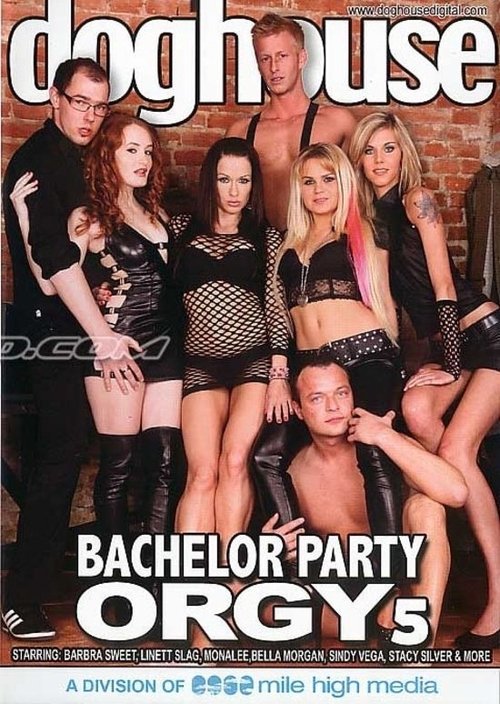 Poster do filme Bachelor Party Orgy 5