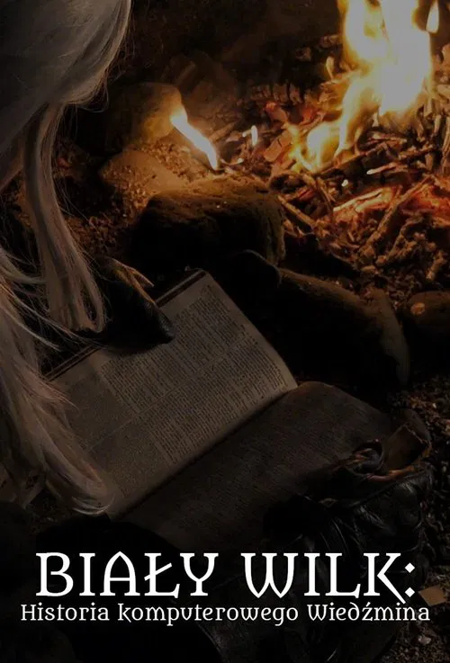 The Witcher's video game history | The Witcher 1 Documentary movie poster