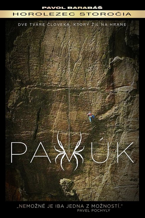 Poster do filme Pavúk