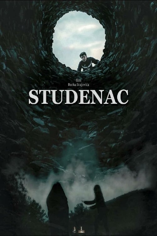 The Well movie poster