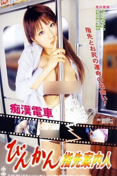 Groper Train: The Sensitive Fingertip Guide movie poster