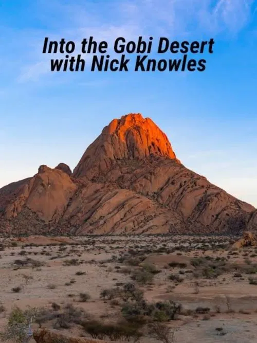 Into the Gobi Desert with Nick Knowles tv show poster