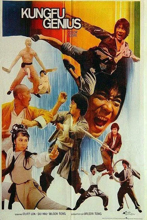 Poster do filme Kung Fu Genius