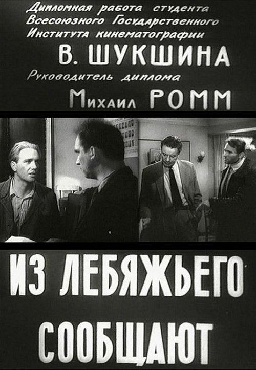 Из Лебяжьего сообщают movie poster