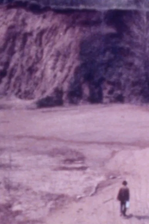 Metonic Cycles movie poster