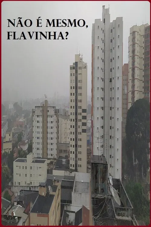 Não é mesmo, Flavinha? movie poster