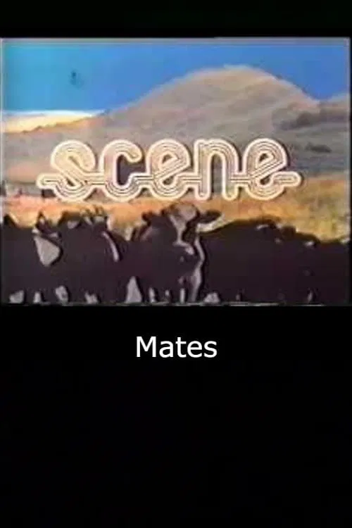 Mates movie poster