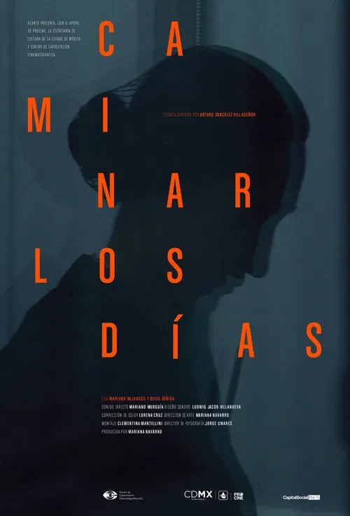 And The Days Never Stop Walking movie poster