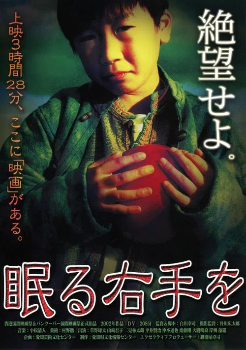 While the Right Hand Is Sleeping movie poster