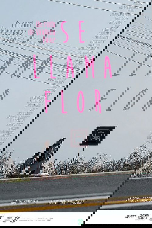 Her Name Is Flor movie poster