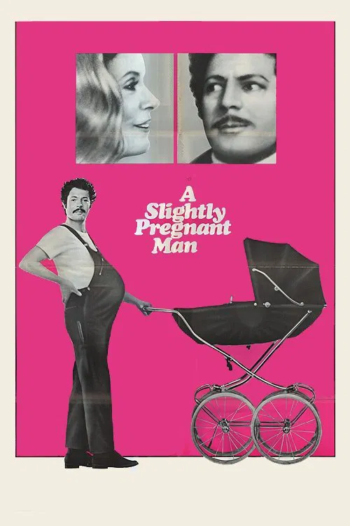A Slightly Pregnant Man movie poster