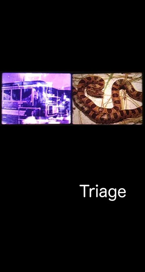 Triage movie poster