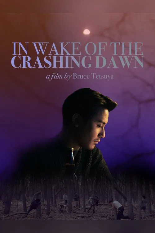 In Wake of the Crashing Dawn movie poster