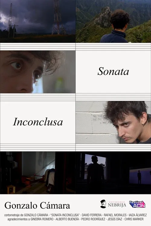 Sonata Inconclusa movie poster