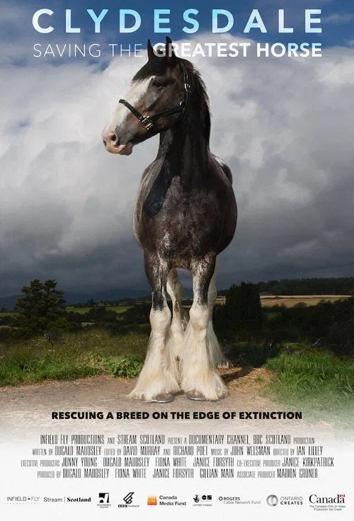Poster do filme Clydesdale: Saving the Greatest Horse