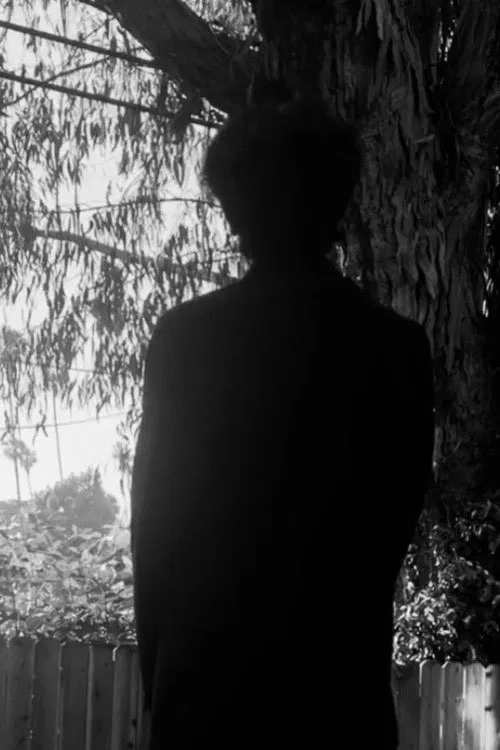 The Origins of the Myth Discovery Association - 2 movie poster