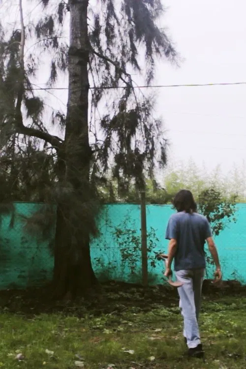 Un Gato Desapareció movie poster