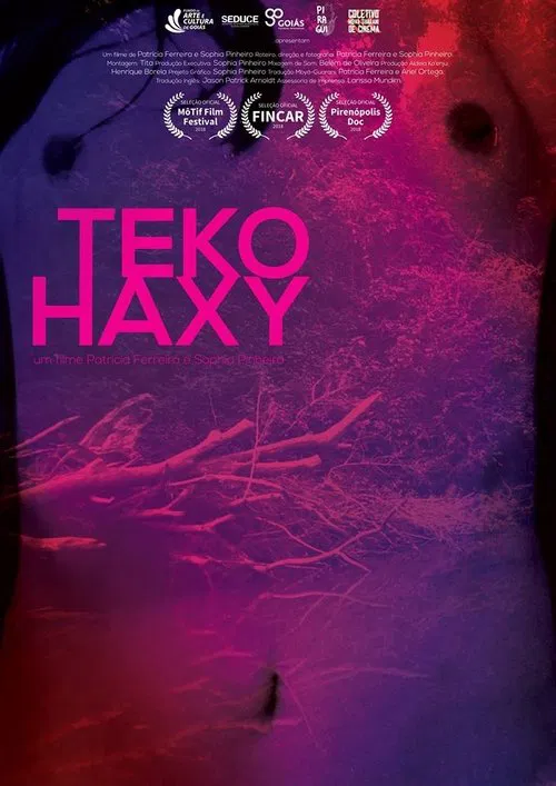 Teko Haxy - ser imperfeita movie poster