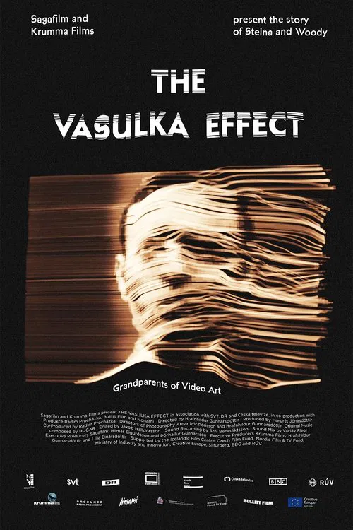 The Vasulka Effect movie poster