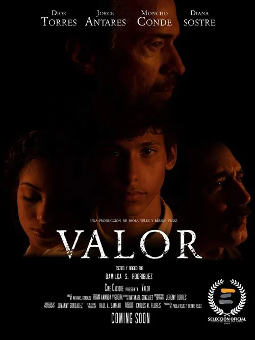 Valor movie poster