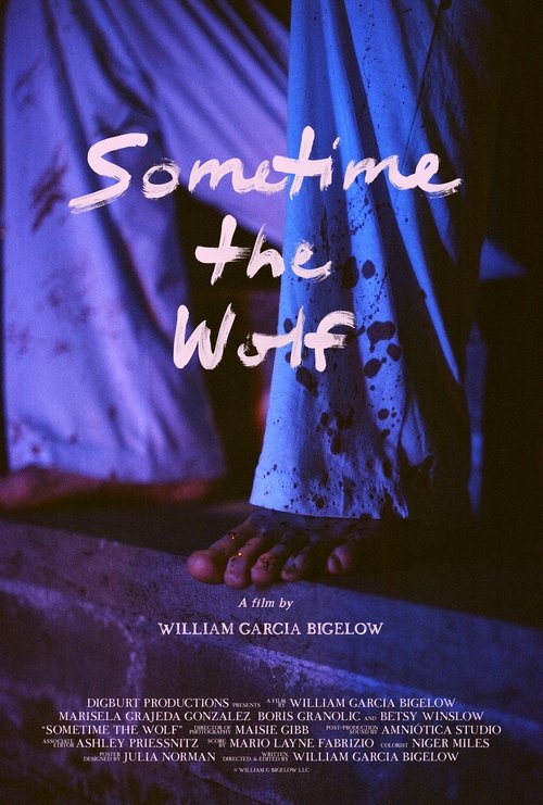 Poster do filme Sometime the Wolf