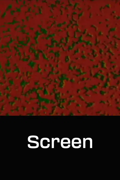 Screen movie poster