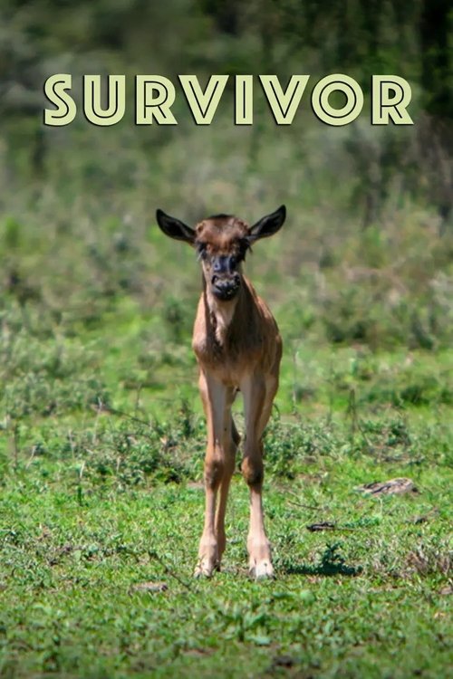 Survivor movie poster