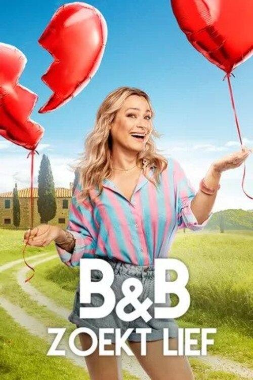 B&B zoekt Lief tv show poster