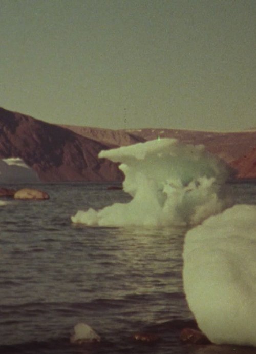 Jenny's Arctic Diary movie poster