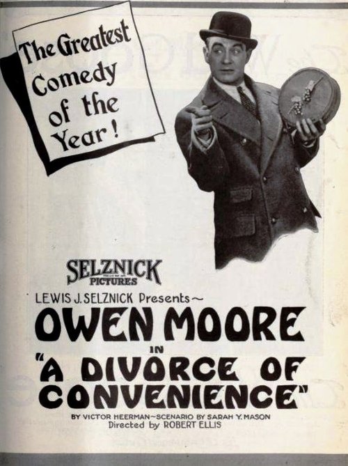 A Divorce of Convenience movie poster