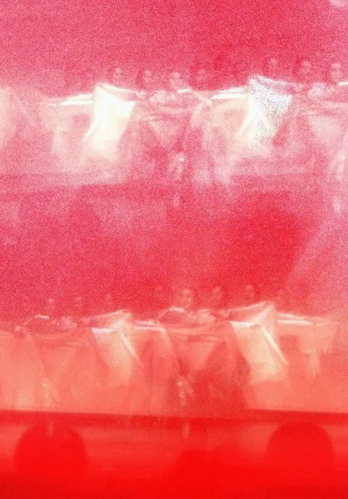 Poster do filme the revenant princess