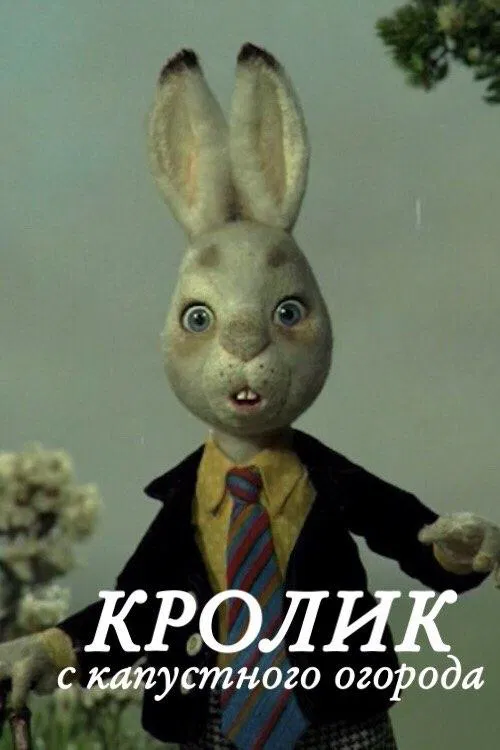 Rabbit from Cabbage Garden movie poster
