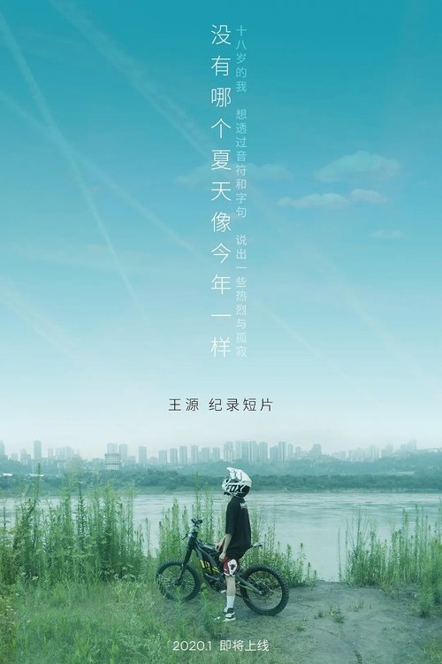 没有哪个夏天像今年一样 movie poster