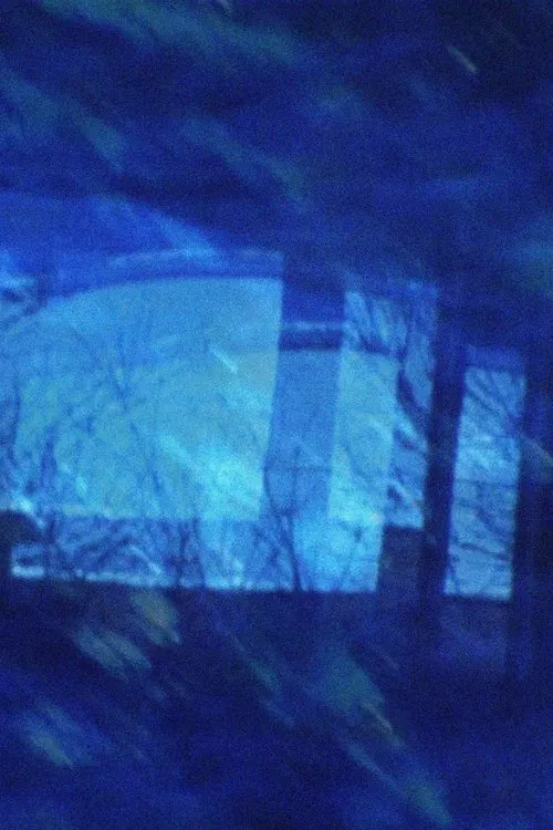 Boulder Blues and Pearls and... movie poster