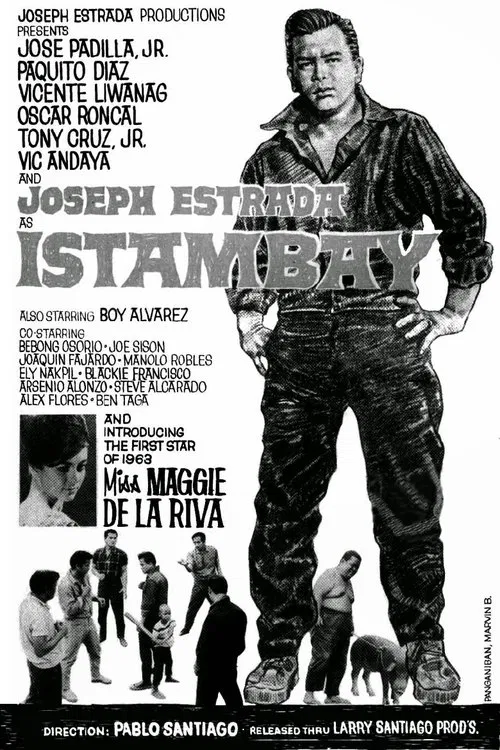 Istambay movie poster
