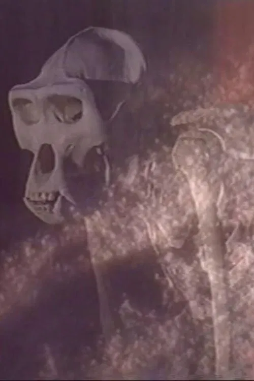 Esprits de Sel movie poster