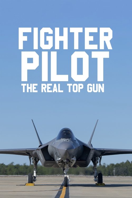 Fighter Pilot: The Real Top Gun tv show poster
