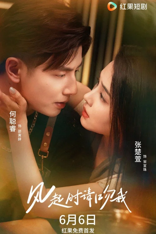 风起时请吻我 tv show poster